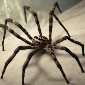 Was bedeutet ‚traumdeutung große spinnen‘? Entdecke die Symbolik hinter deinen Spinnenträumen!